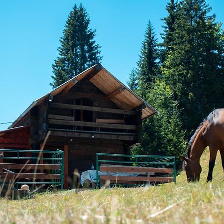 Koliba Marijanovic Villa Andrijevica Esterno foto