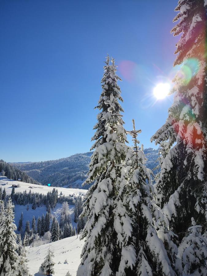 Koliba Marijanovic Villa Andrijevica Esterno foto