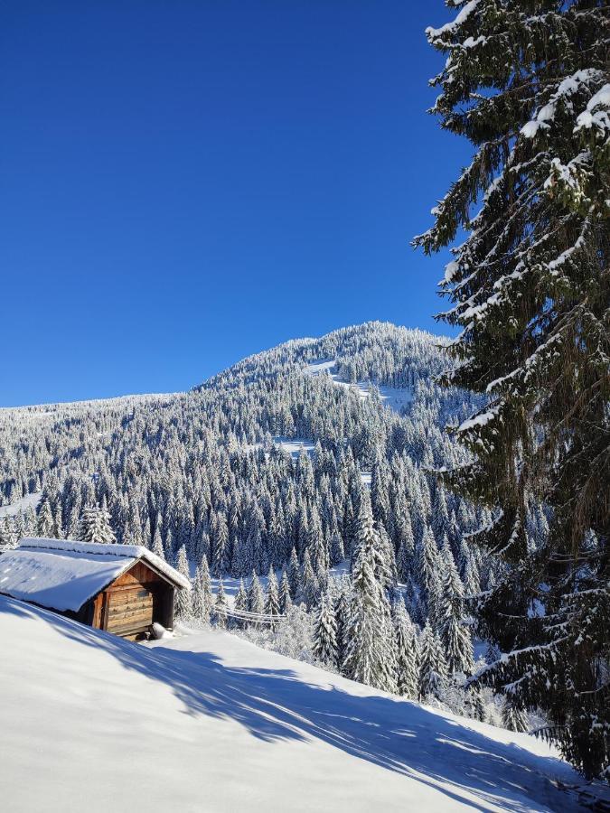 Koliba Marijanovic Villa Andrijevica Esterno foto