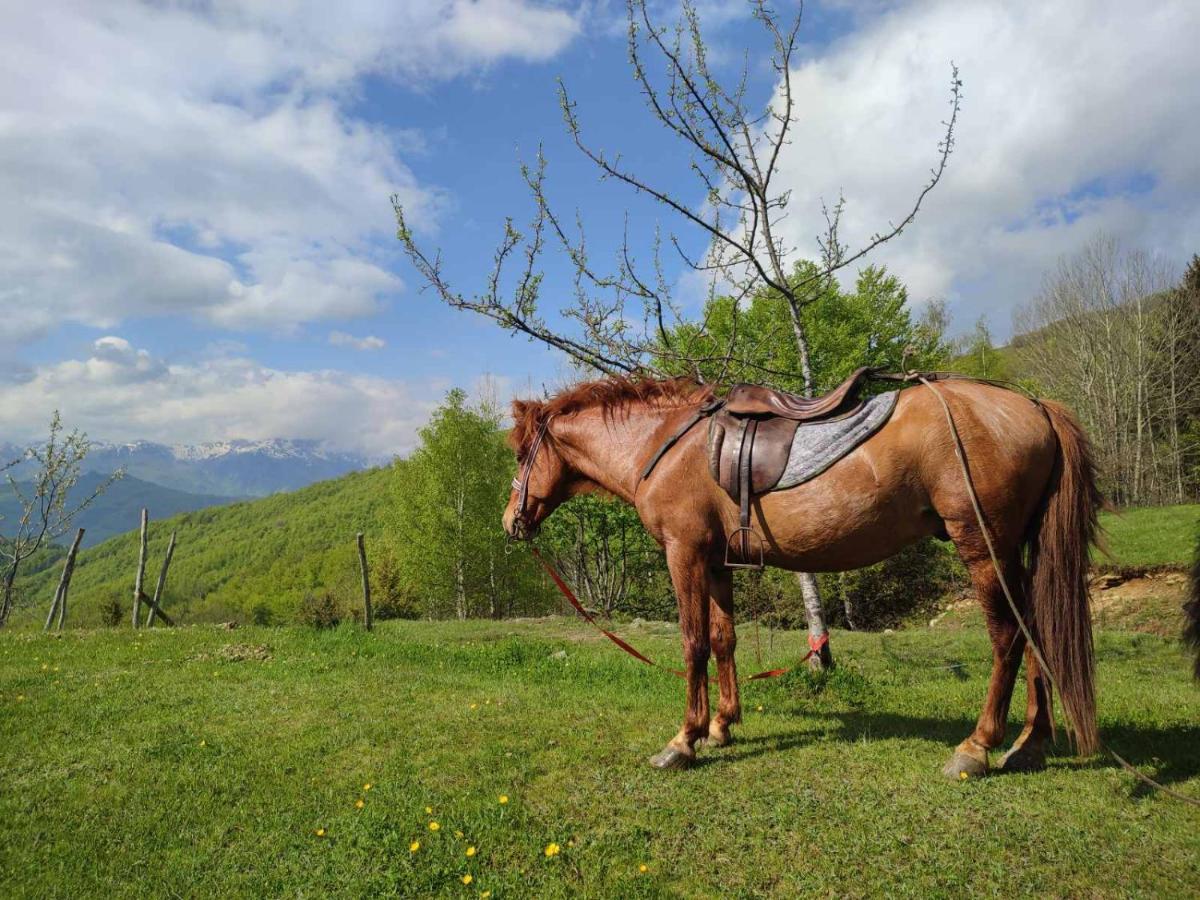 Koliba Marijanovic Villa Andrijevica Esterno foto