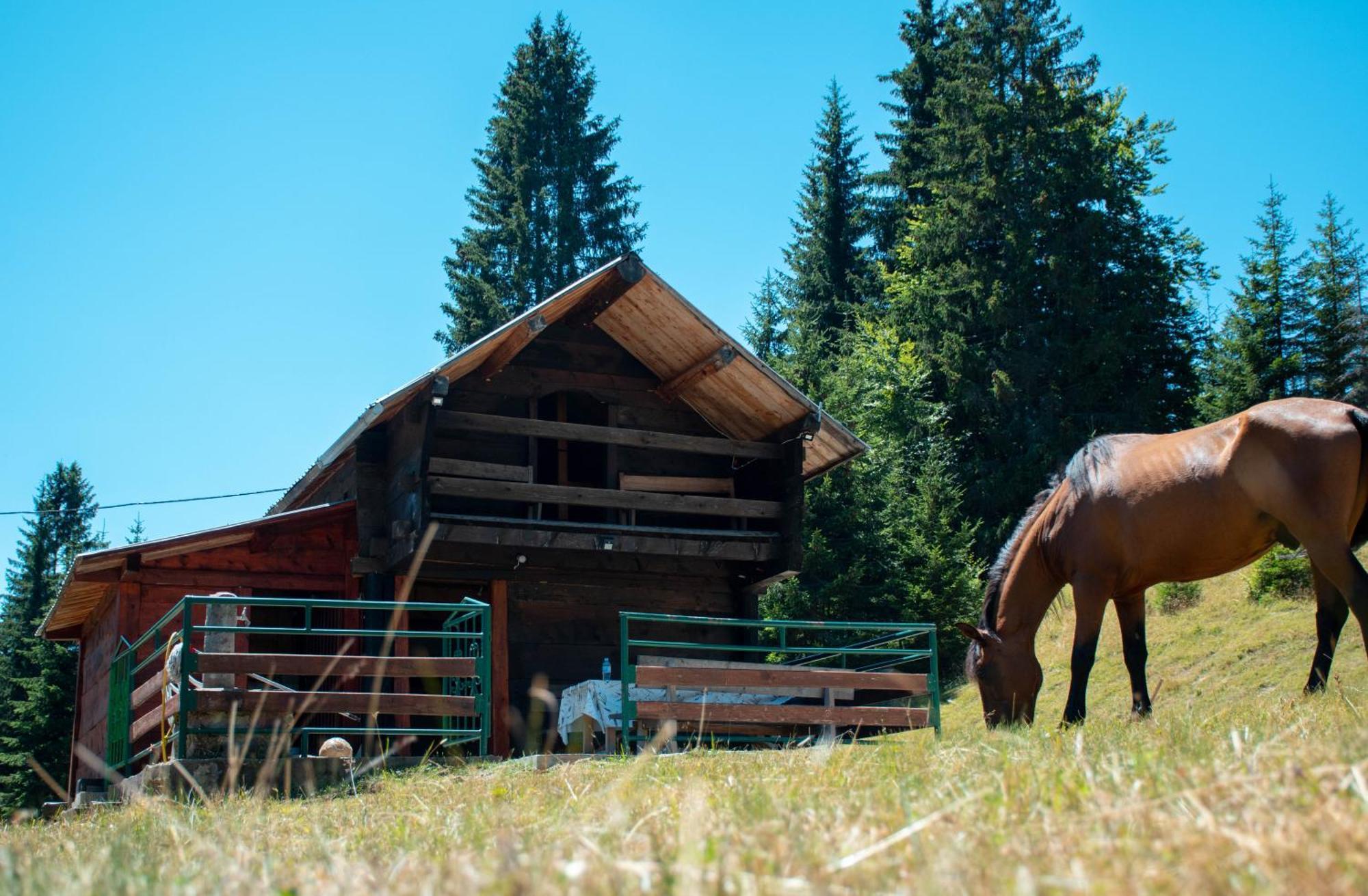 Koliba Marijanovic Villa Andrijevica Esterno foto